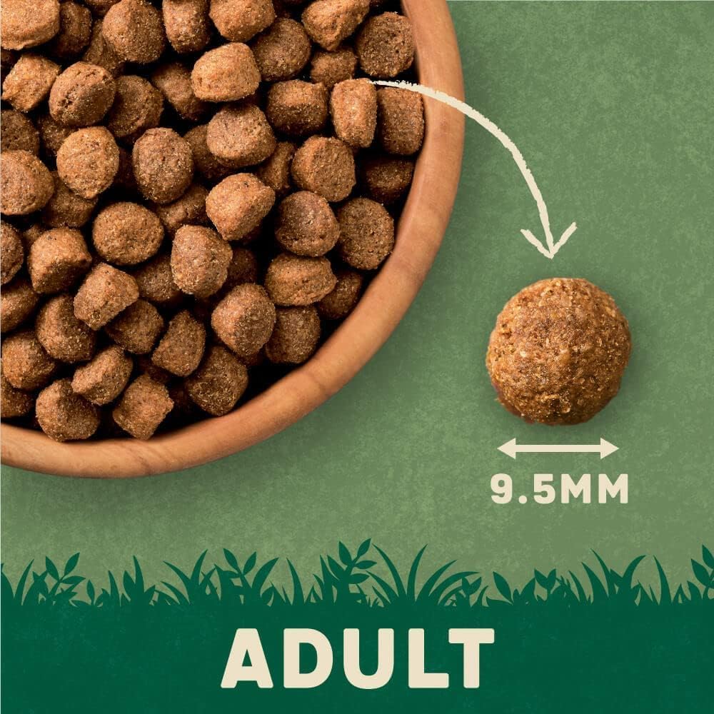 Harringtons Complete Dry Adult Dog Food Lamb & Rice 18kg