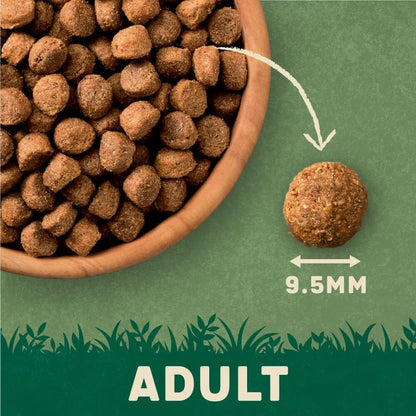 Harringtons Complete Dry Adult Dog Food Lamb & Rice 18kg