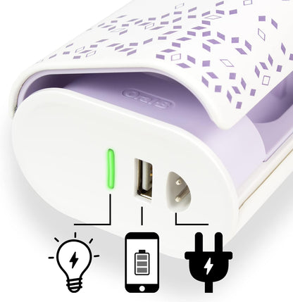 Oral-B Braun electric toothbrush charging case showing charging points.