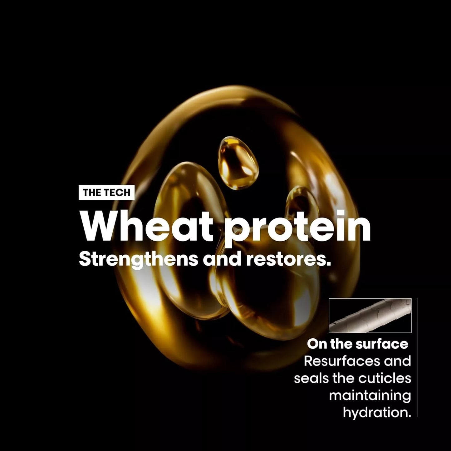 L’Oréal Professionnel Absolut Repair Shampoo 300ml x 2  TWIN PACK | Professional Hair Care