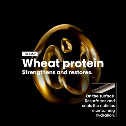 L’Oréal Professionnel Absolut Repair Shampoo 300ml x 2  TWIN PACK | Professional Hair Care